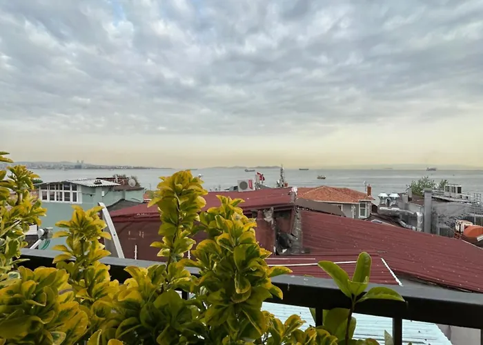 Kamp alanı İstanbul Sophia hotels
